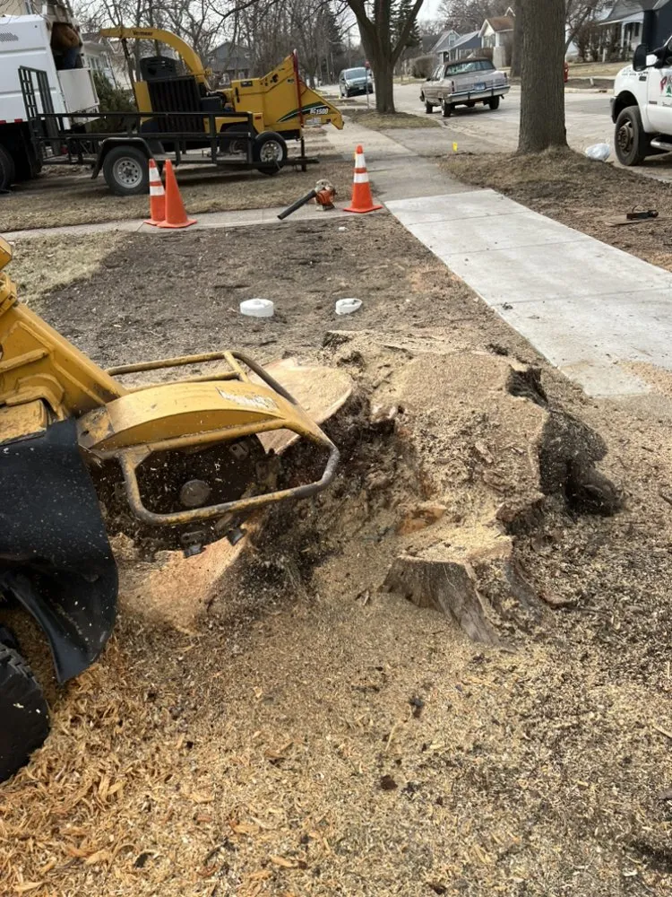 Reliable lawn mowing service in West Chicago, IL by P&M Tree Service