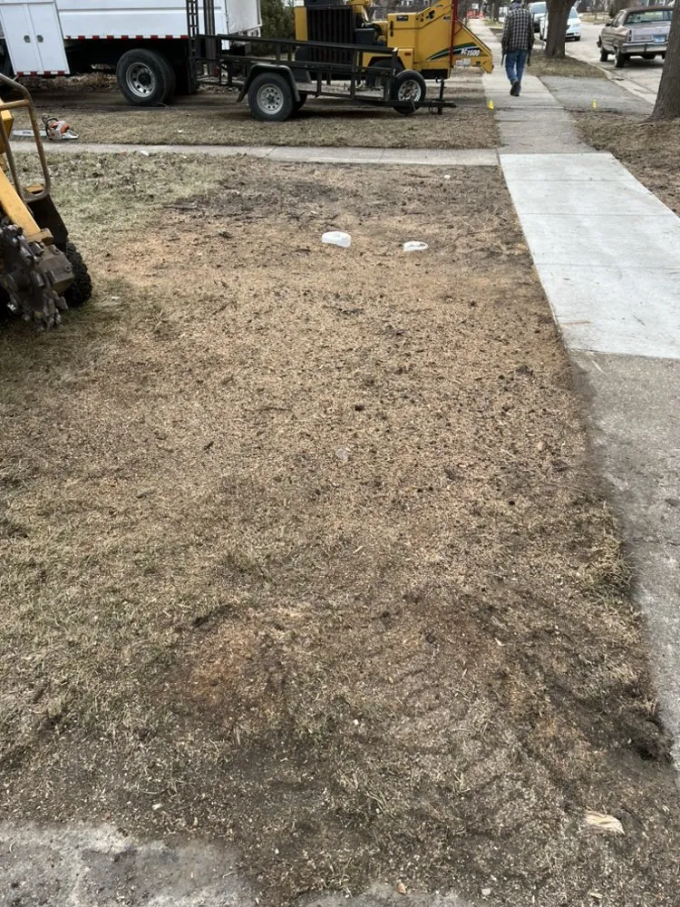 Affordable yard maintenance for homes across West Chicago, IL - P&M Tree Service