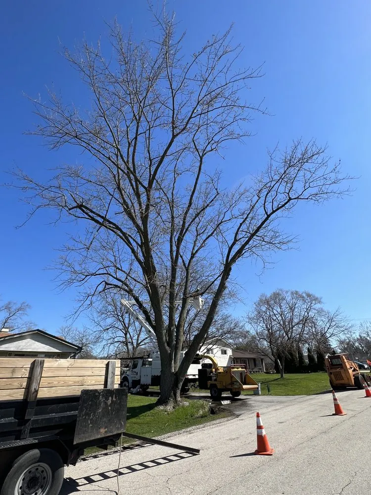 Expert garden landscaping in West Chicago, IL by P&M Tree Service