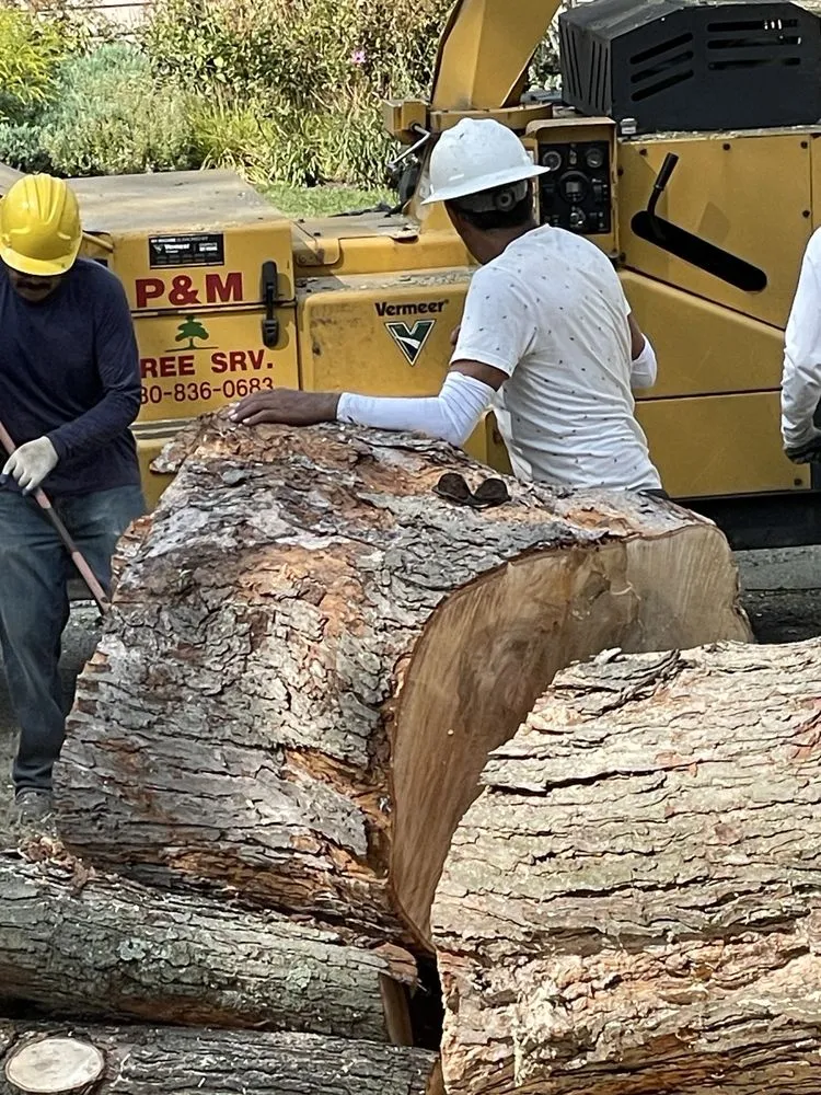 Reliable landscape installation for outdoor upgrades across West Chicago, IL - P&M Tree Service