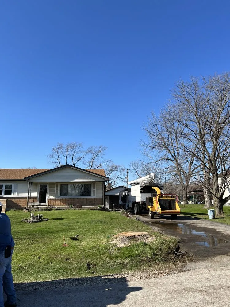 Professional outdoor landscaping in West Chicago, IL by P&M Tree Service