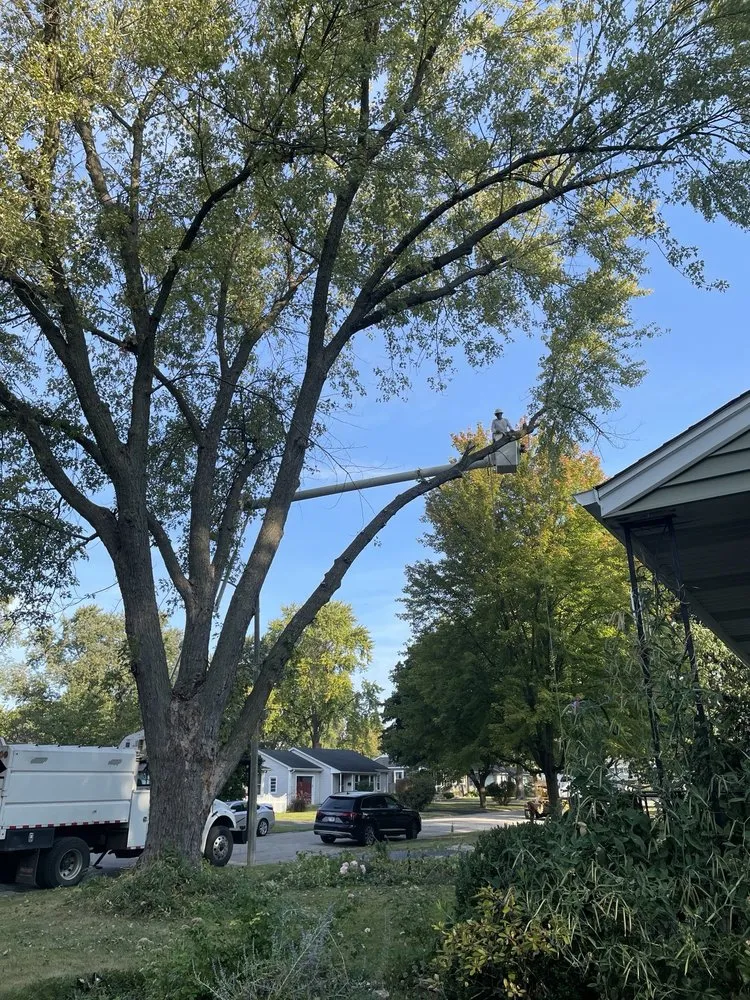 Affordable yard maintenance in West Chicago, IL - P&M Tree Service