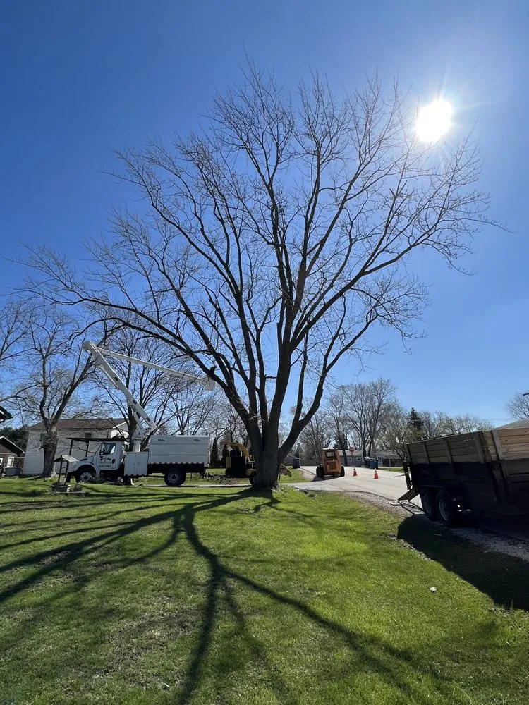 Affordable outdoor landscaping experts serving West Chicago, IL - P&M Tree Service