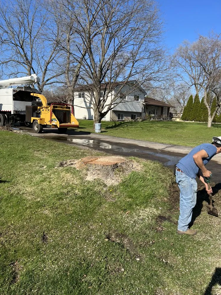 Expert lawn mowing service experts serving West Chicago, IL - P&M Tree Service