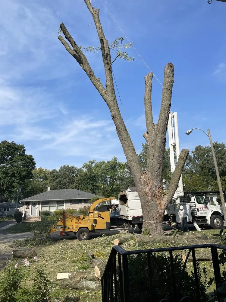 Expert landscape installation in West Chicago, IL - P&M Tree Service