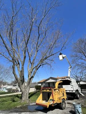P&M Tree Service Logo