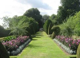 Reliable lawn care service in Atlantis, FL by PMA Landscape Maintenance