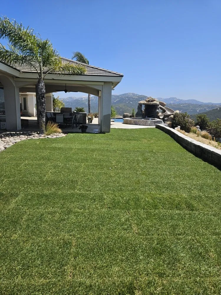 Professional yard maintenance for homes in El Cajon, CA by PMC Landscape Service