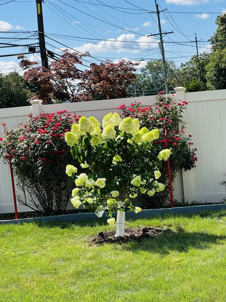 Custom landscaping services in Locust Valley, NY by PMC landscaping