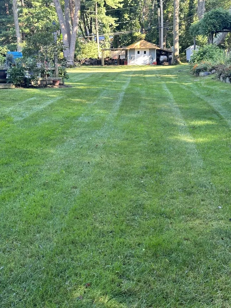 Local yard maintenance in Locust Valley, NY by PMC landscaping