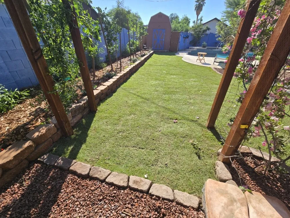 Custom landscape installation in Glendale, AZ by PMC Lawn Care and Landscape Services
