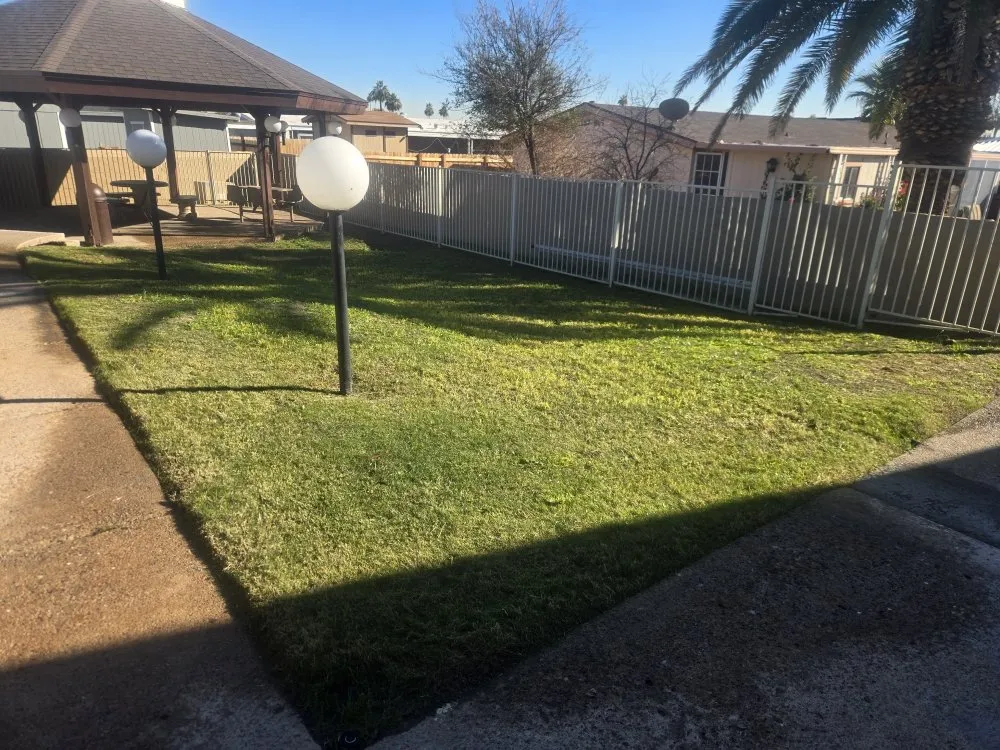 Top-rated lawn mowing service for beautiful yards across Glendale, AZ - PMC Lawn Care and Landscape Services