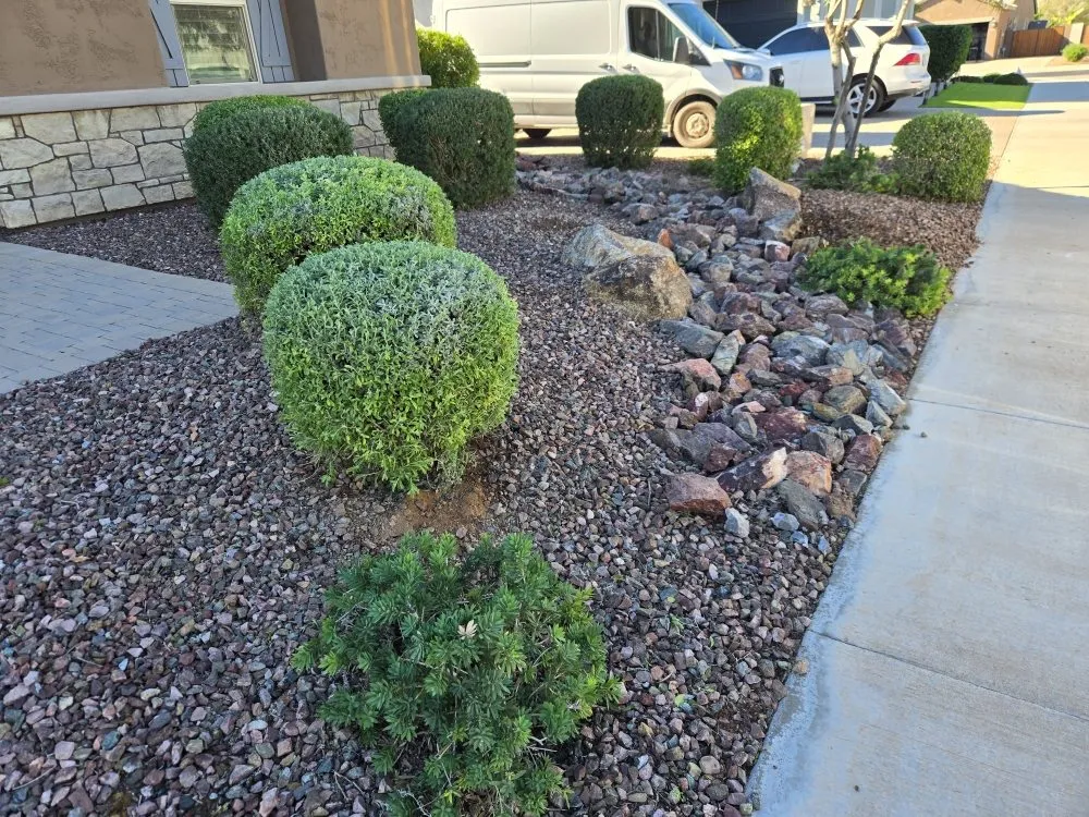 Professional landscape installation in Glendale, AZ by PMC Lawn Care and Landscape Services