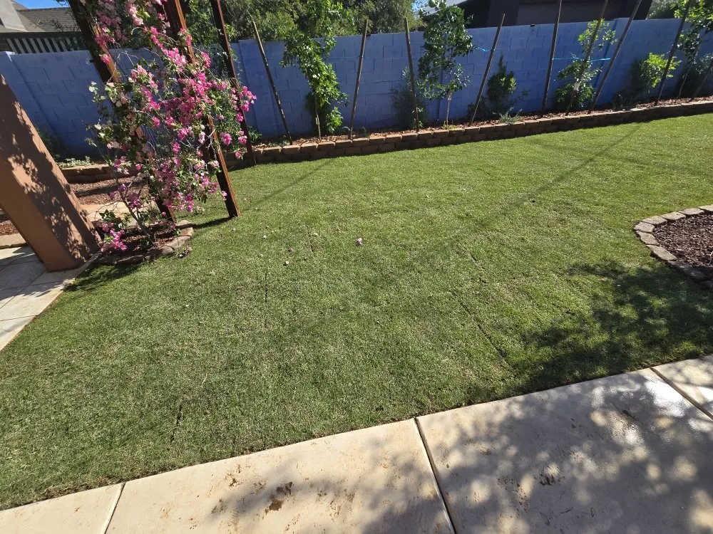 Local yard cleanup service near you in Glendale, AZ by PMC Lawn Care and Landscape Services