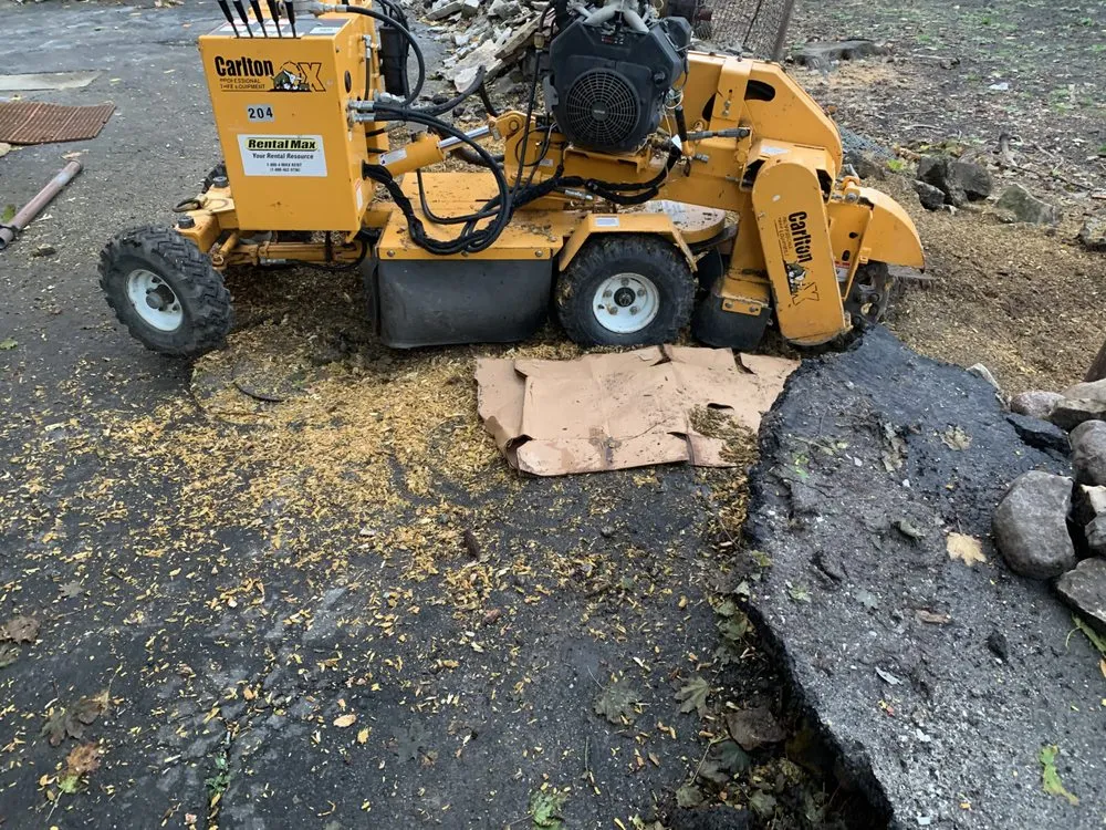 Local yard maintenance in Chicago, IL by PMG Stump Removal