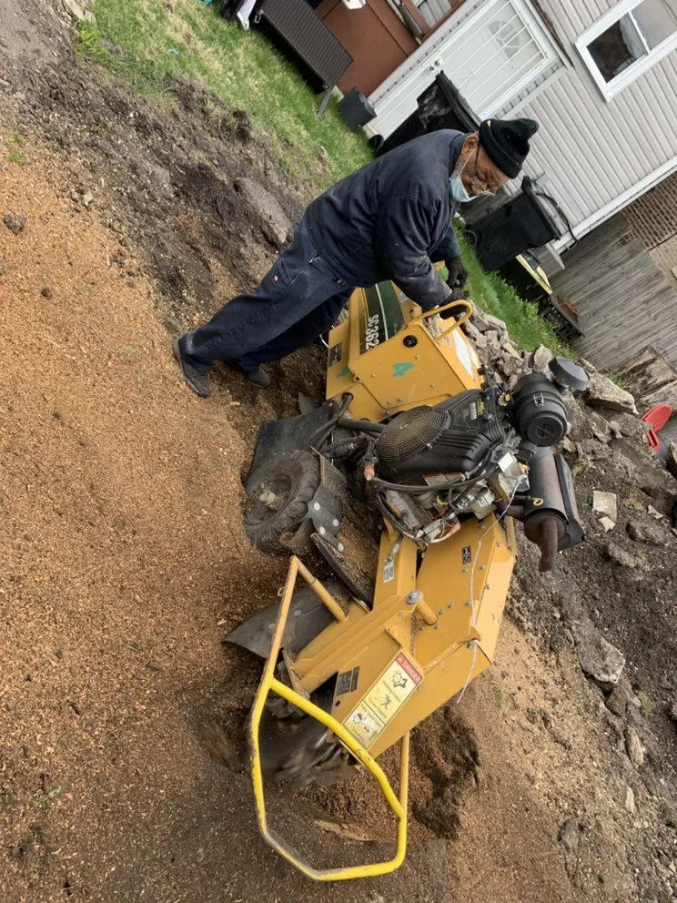 Custom yard cleanup service for homes in Chicago, IL by PMG Stump Removal