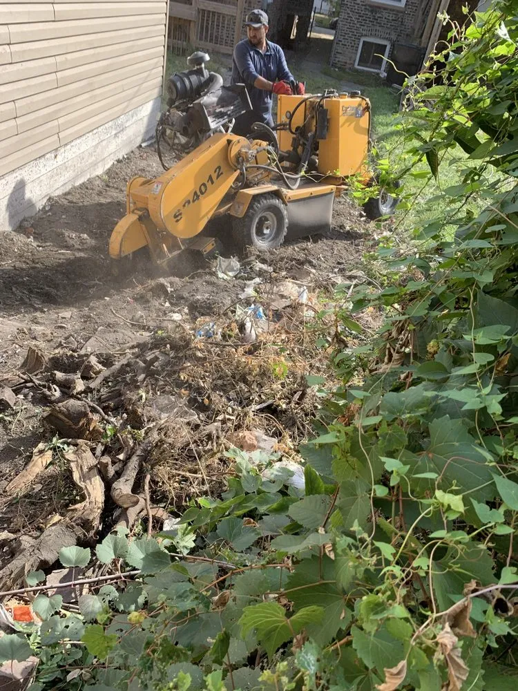 Trusted landscaping services in Chicago, IL - PMG Stump Removal