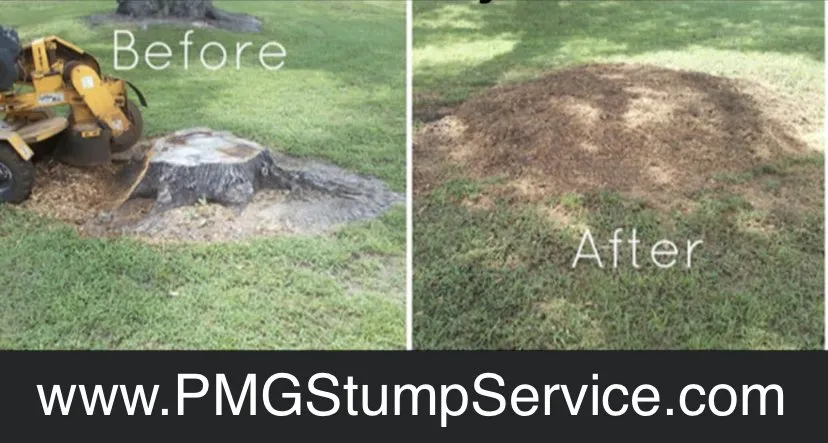 Custom lawn care service in Chicago, IL by PMG Stump Removal