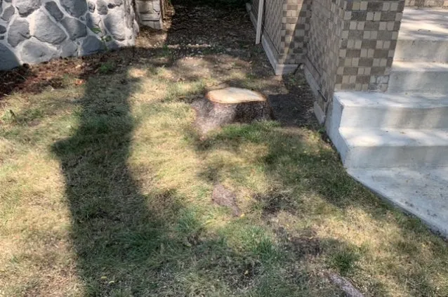 Trusted landscape design in Chicago, IL by PMG Stump Removal