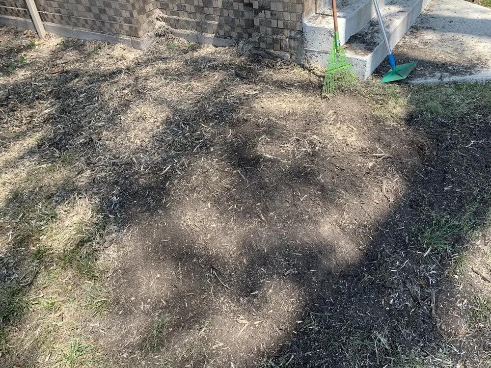 Trusted residential landscaping in Chicago, IL by PMG Stump Removal