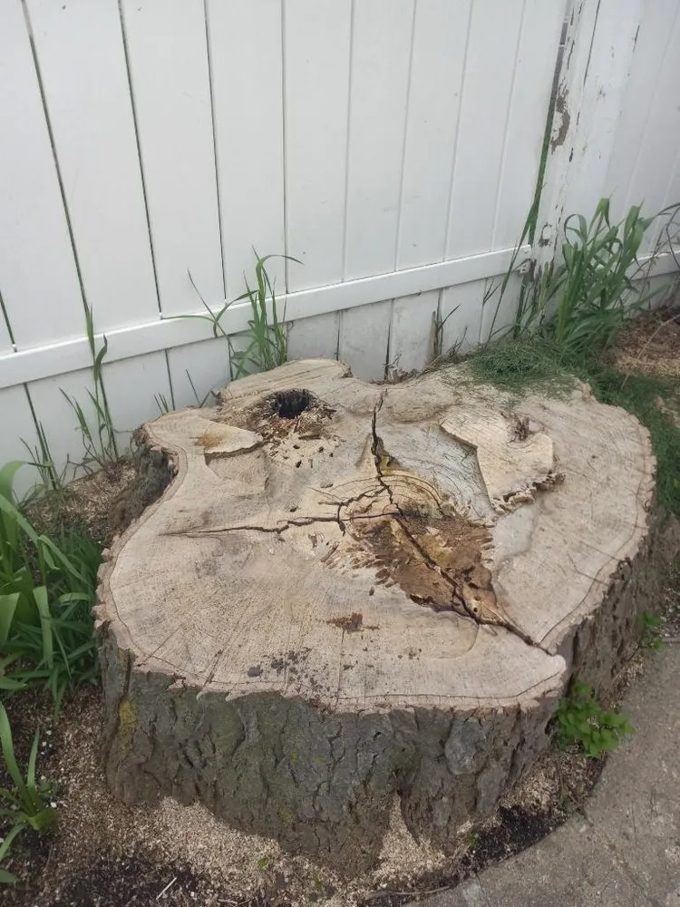 Professional landscape installation in Chicago, IL - PMG Stump Removal