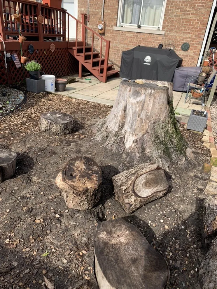 Custom landscape installation for beautiful yards across Chicago, IL - PMG Stump Removal