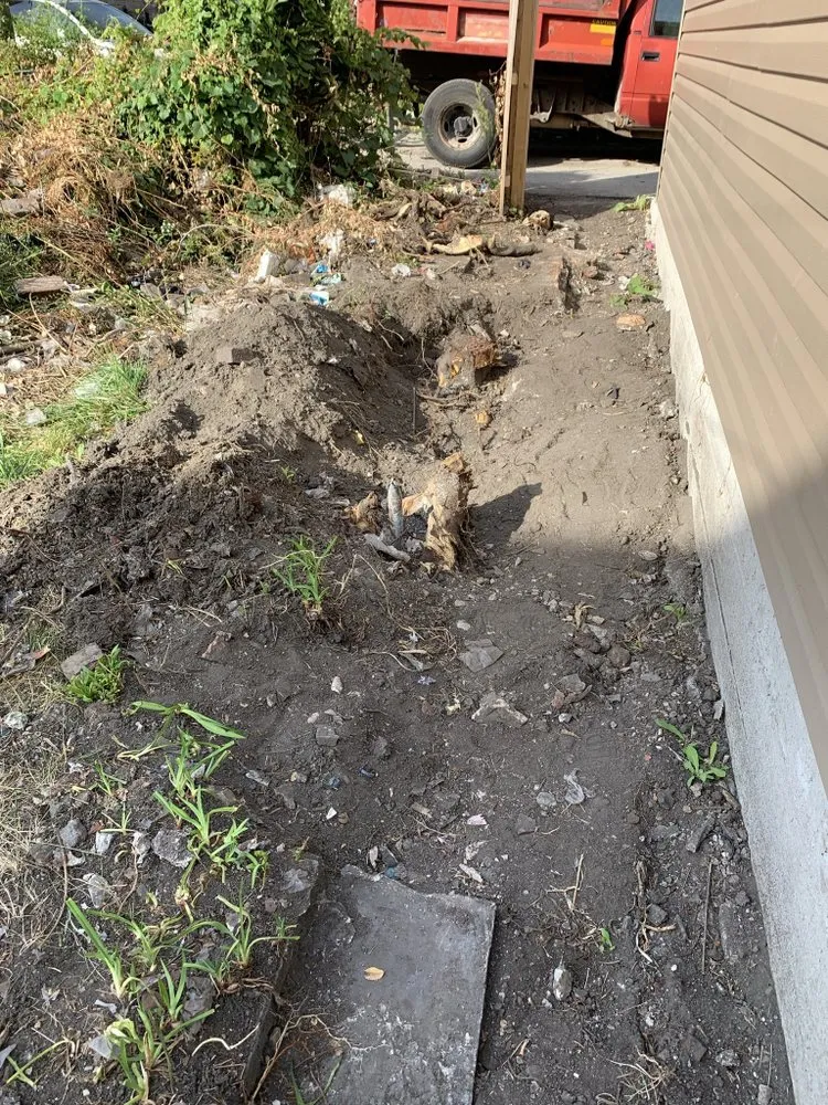 Affordable yard cleanup service in Chicago, IL by PMG Stump Removal