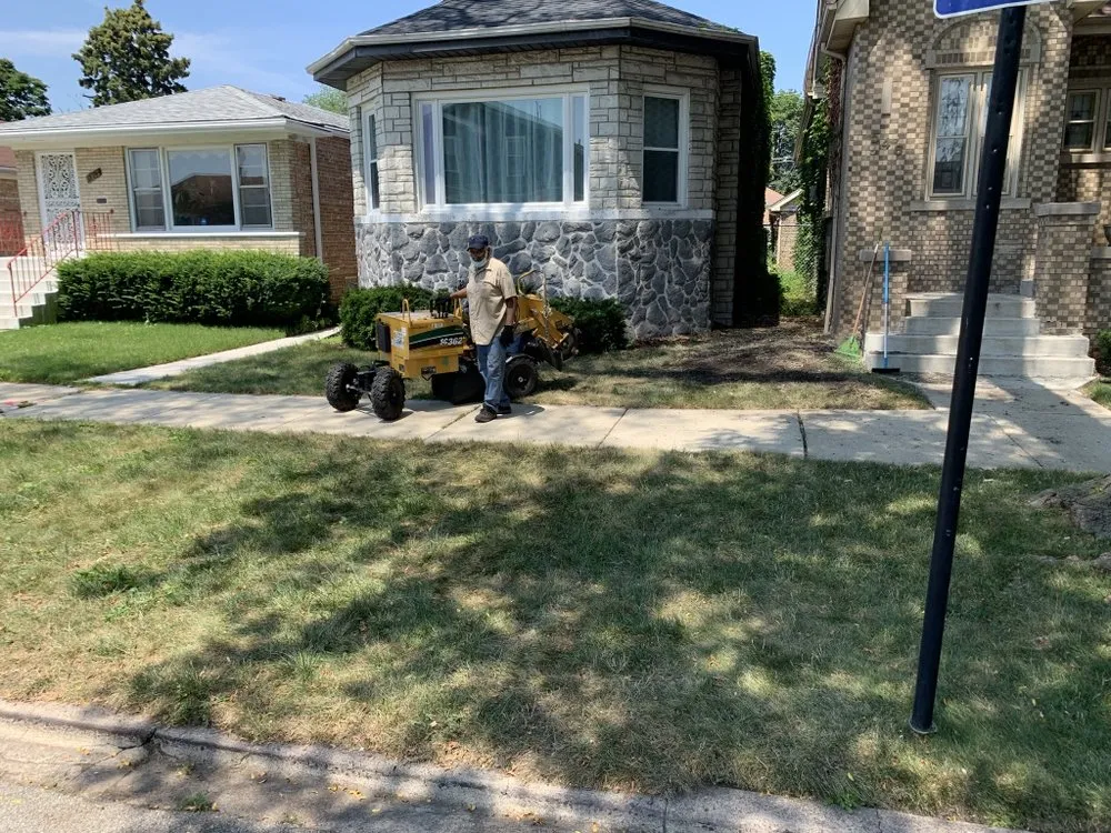 Reliable yard maintenance for outdoor upgrades in Chicago, IL by PMG Stump Removal