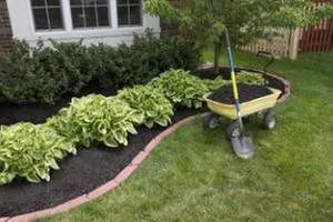 Custom landscaping services in Evansville, IN by PMG Tree Care & Landscape