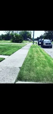 Pmj Landscaping Logo