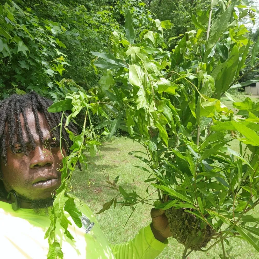 Local landscape installation experts serving Riverdale, GA - Pmp Brothers Lawn Care