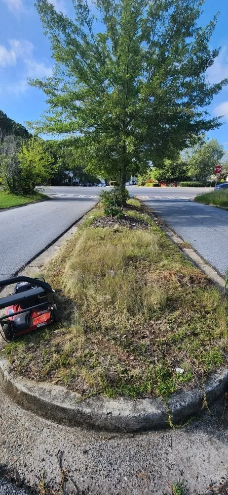 Expert landscaping services for beautiful yards in Riverdale, GA by Pmp Brothers Lawn Care