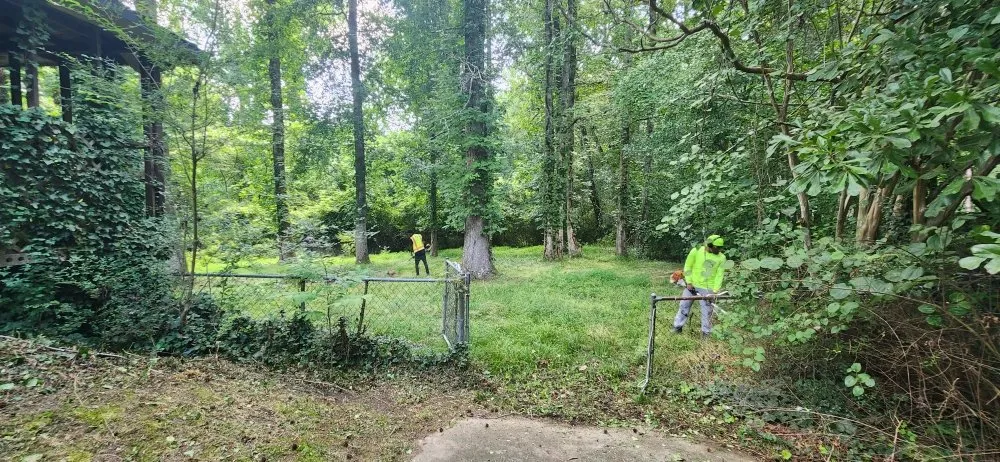 Top-rated outdoor landscaping experts serving Riverdale, GA - Pmp Brothers Lawn Care