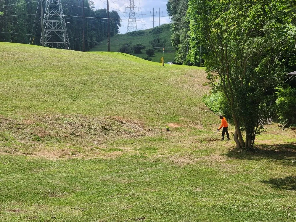 Reliable landscape design experts serving Riverdale, GA - Pmp Brothers Lawn Care