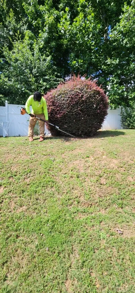 Top-rated lawn care service experts serving Riverdale, GA - Pmp Brothers Lawn Care