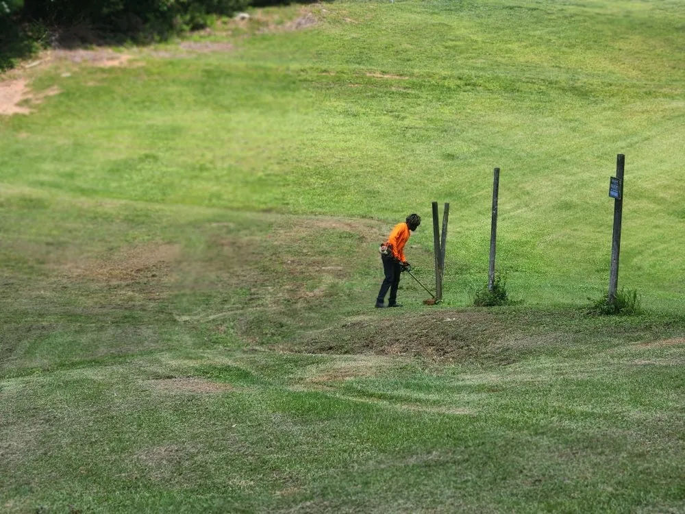 Expert lawn care service in Riverdale, GA - Pmp Brothers Lawn Care