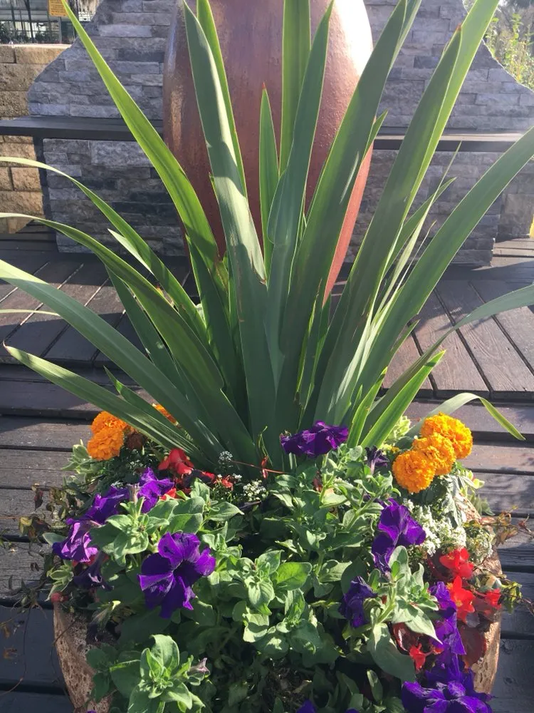Affordable residential landscaping in Winter Spring, FL by PMT Landscaping
