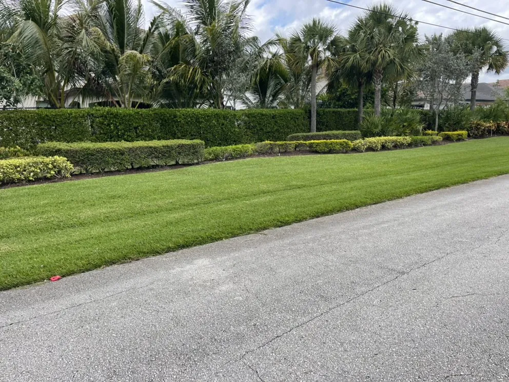 Reliable lawn mowing service experts serving Lake Worth, FL - PMV Landscapers & Lawn Services