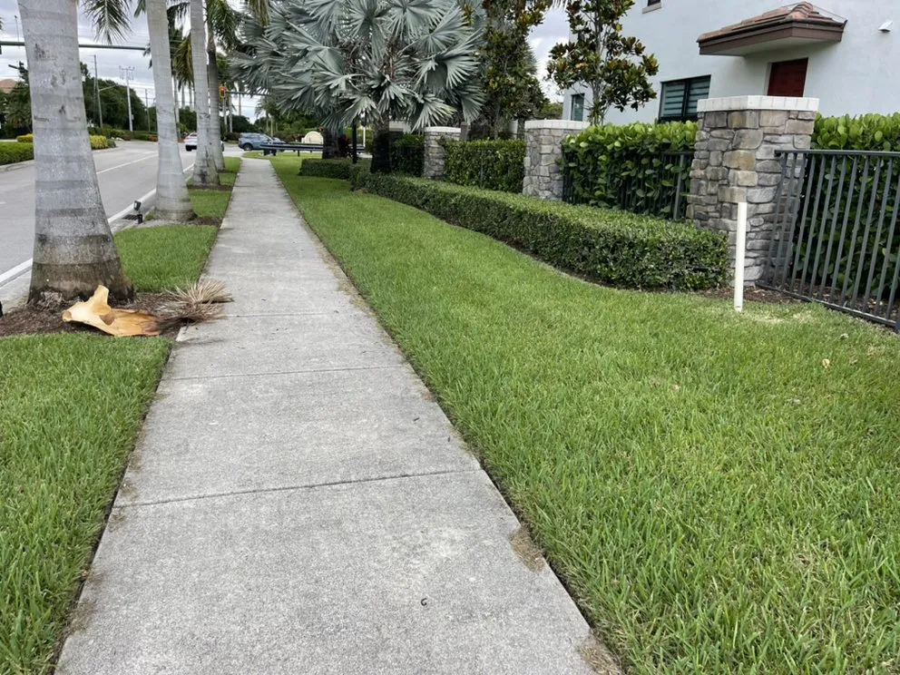 Reliable garden landscaping for outdoor upgrades in Lake Worth, FL by PMV Landscapers & Lawn Services