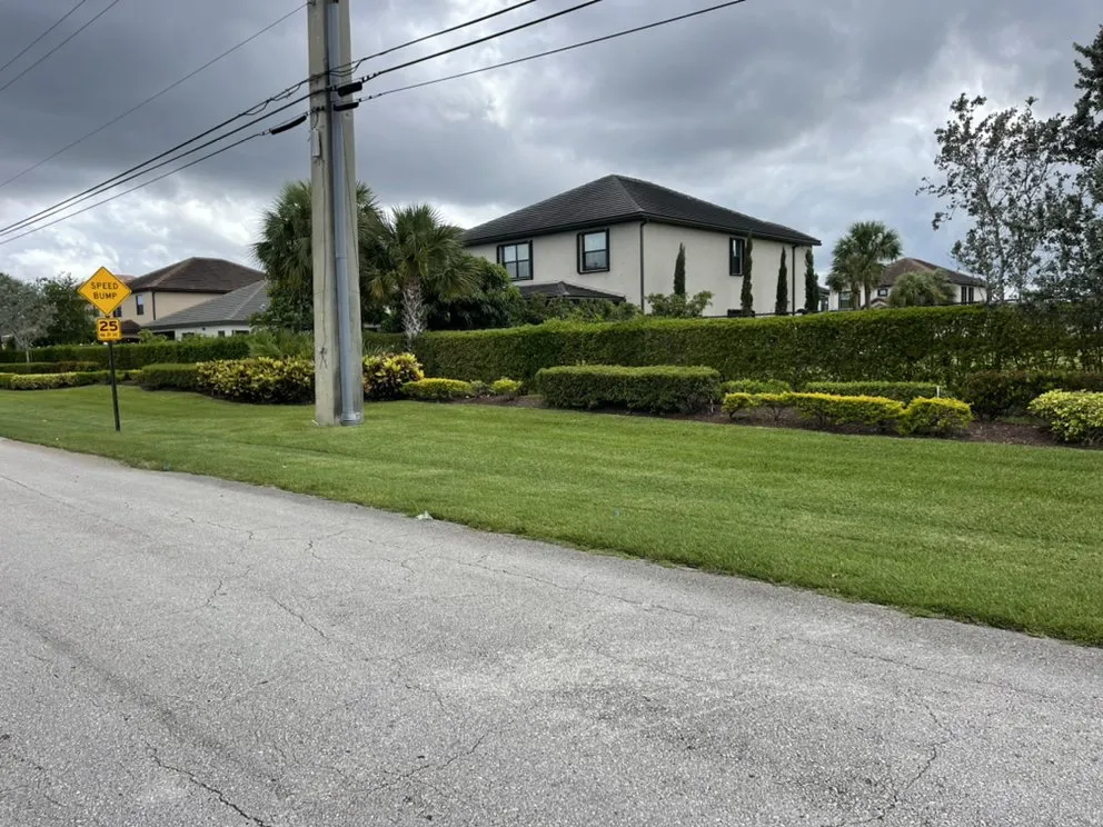 Top-rated residential landscaping in Lake Worth, FL by PMV Landscapers & Lawn Services