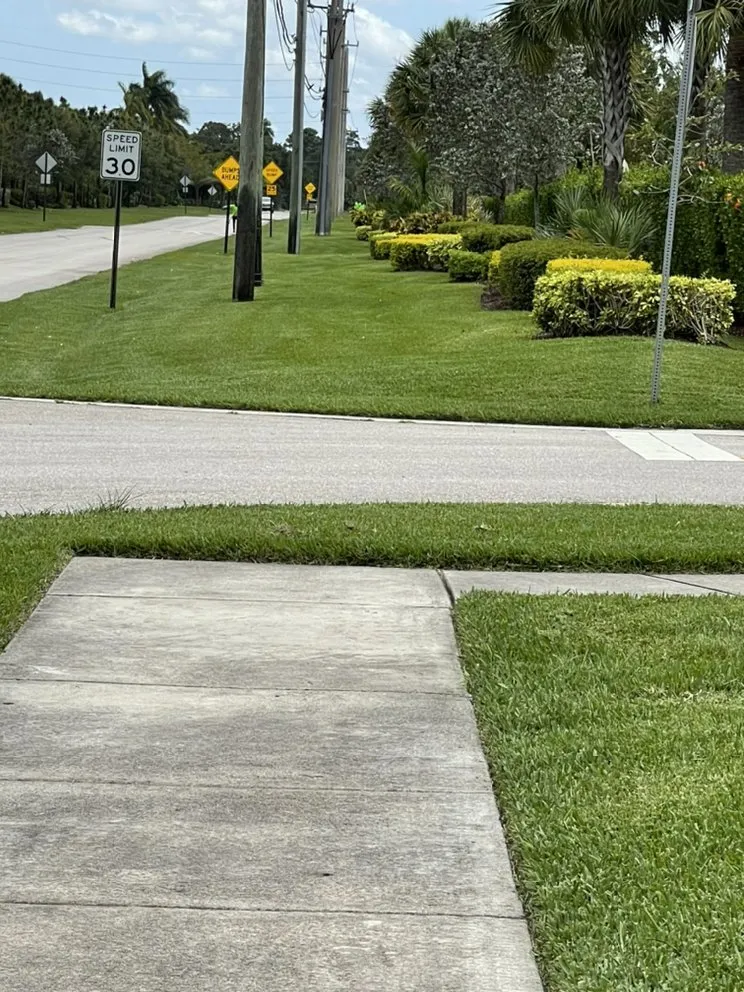 Top-rated landscape installation for beautiful yards in Lake Worth, FL by PMV Landscapers & Lawn Services