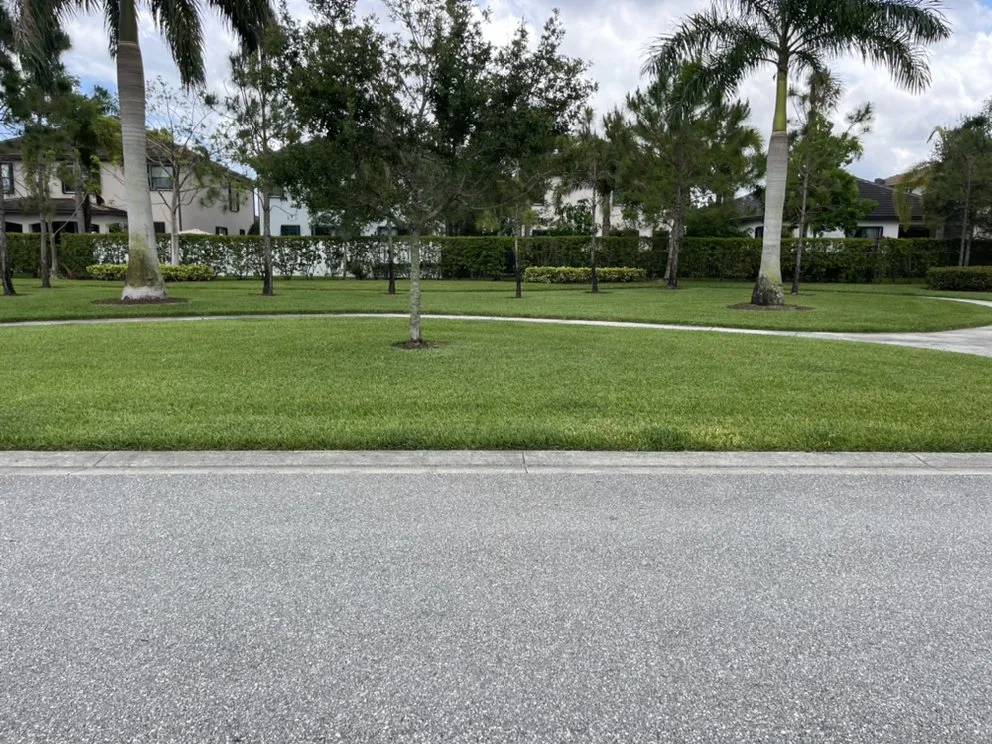 Local landscaping services for beautiful yards across Lake Worth, FL - PMV Landscapers & Lawn Services