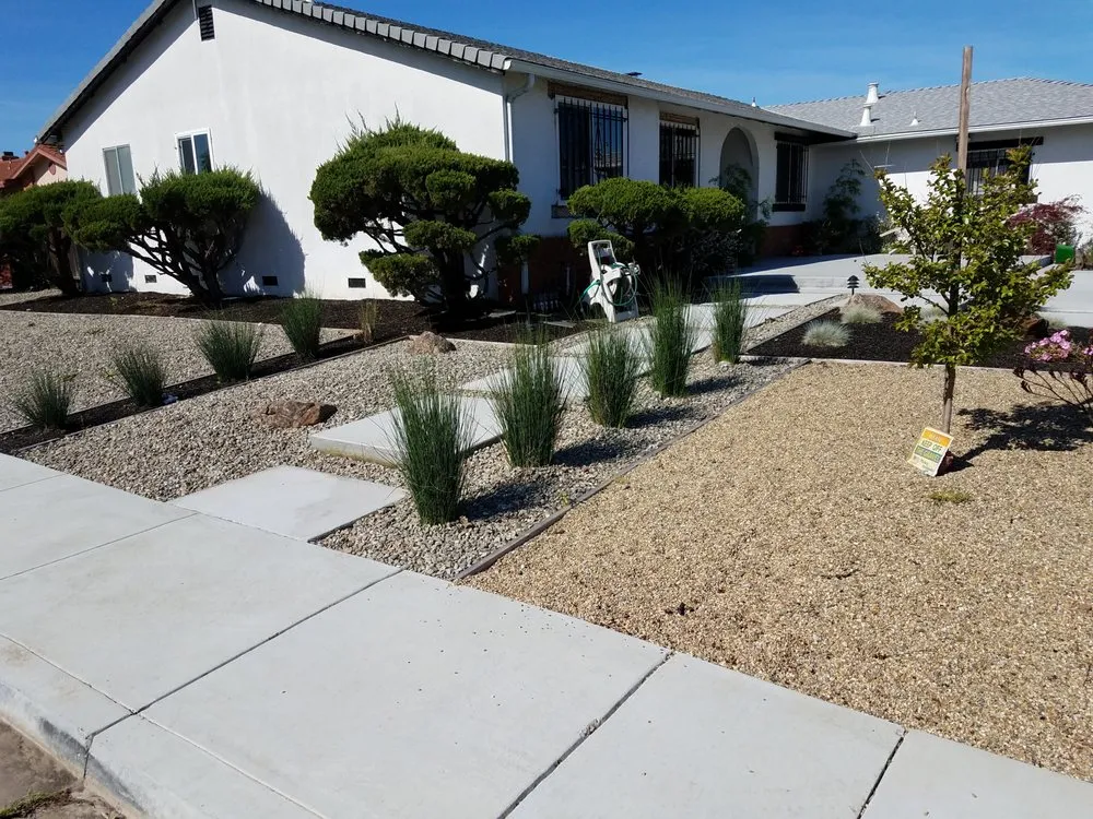 Reliable landscape design experts serving Pittsburg, CA - PN Landscape