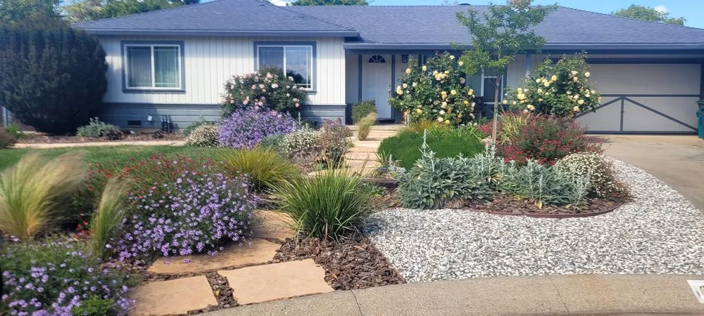 Affordable yard cleanup service in Pittsburg, CA by PN Landscape
