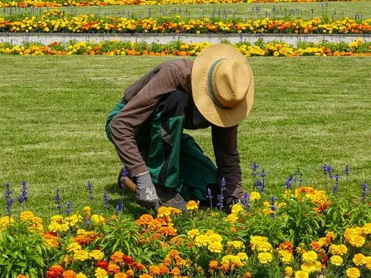 PNE Landscaping and Yard Care