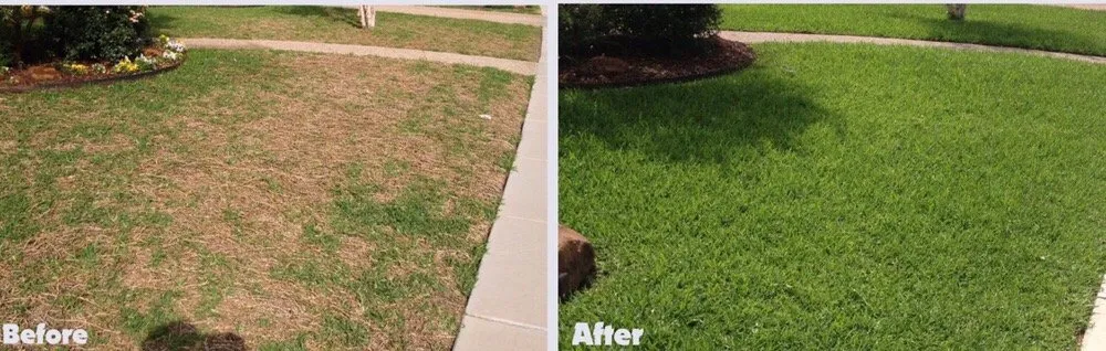 Local landscape design in Hemet, CA by PNF landscaping