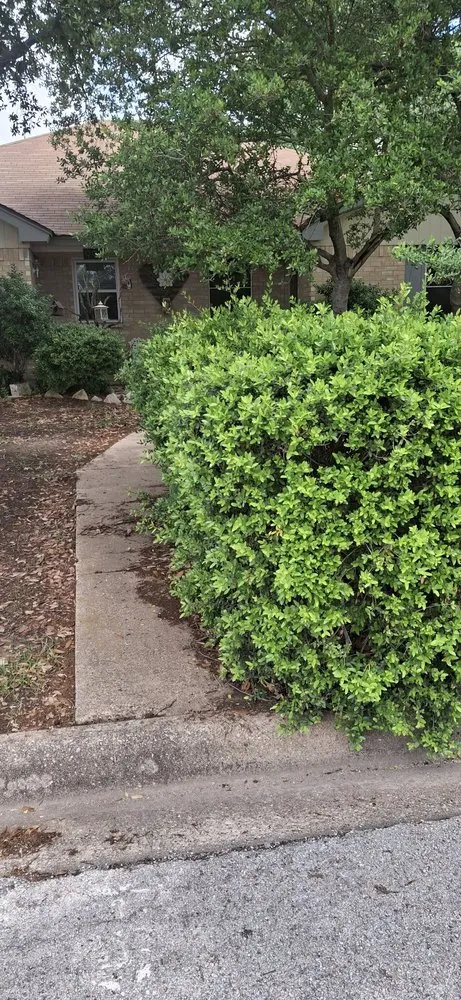 Local garden landscaping in Fort Worth, TX by PNG Mowing