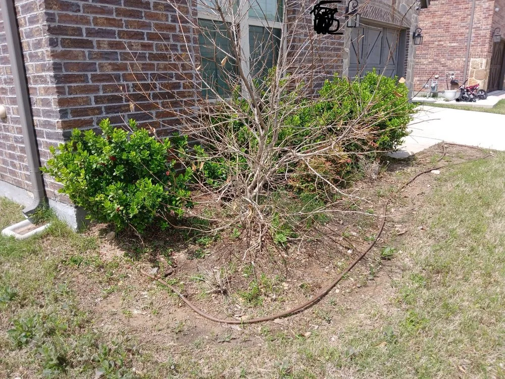 Trusted landscaping services in Fort Worth, TX by PNG Mowing