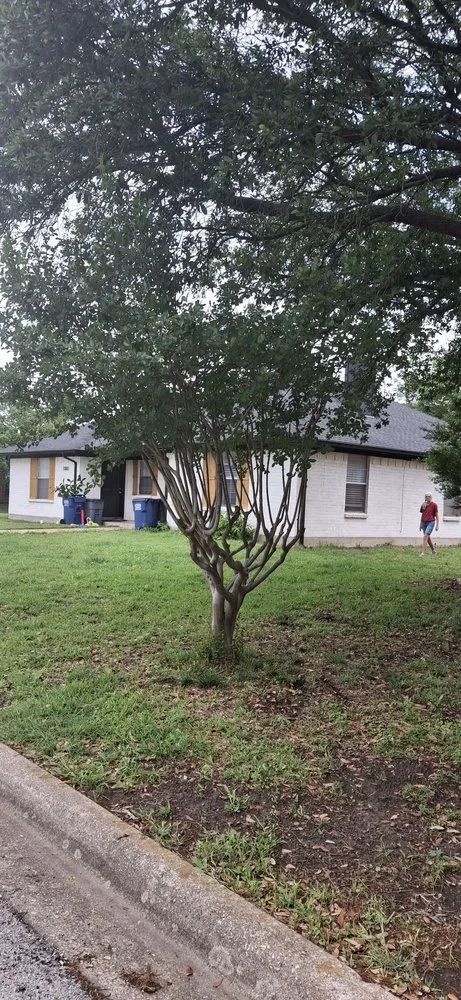 Top-rated landscape design for beautiful yards across Fort Worth, TX - PNG Mowing