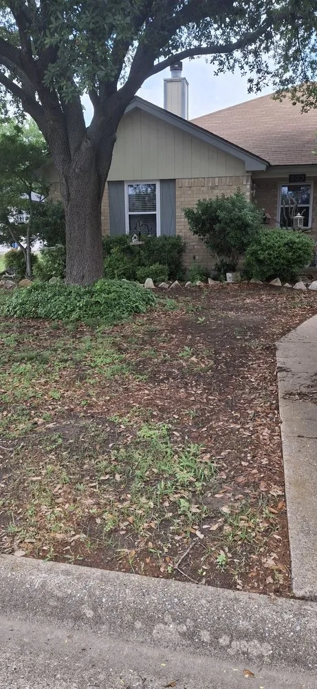 Trusted yard maintenance in Fort Worth, TX - PNG Mowing